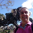 Antonio Carlos Gomes