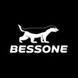 Rodrigo Mendes Bessone