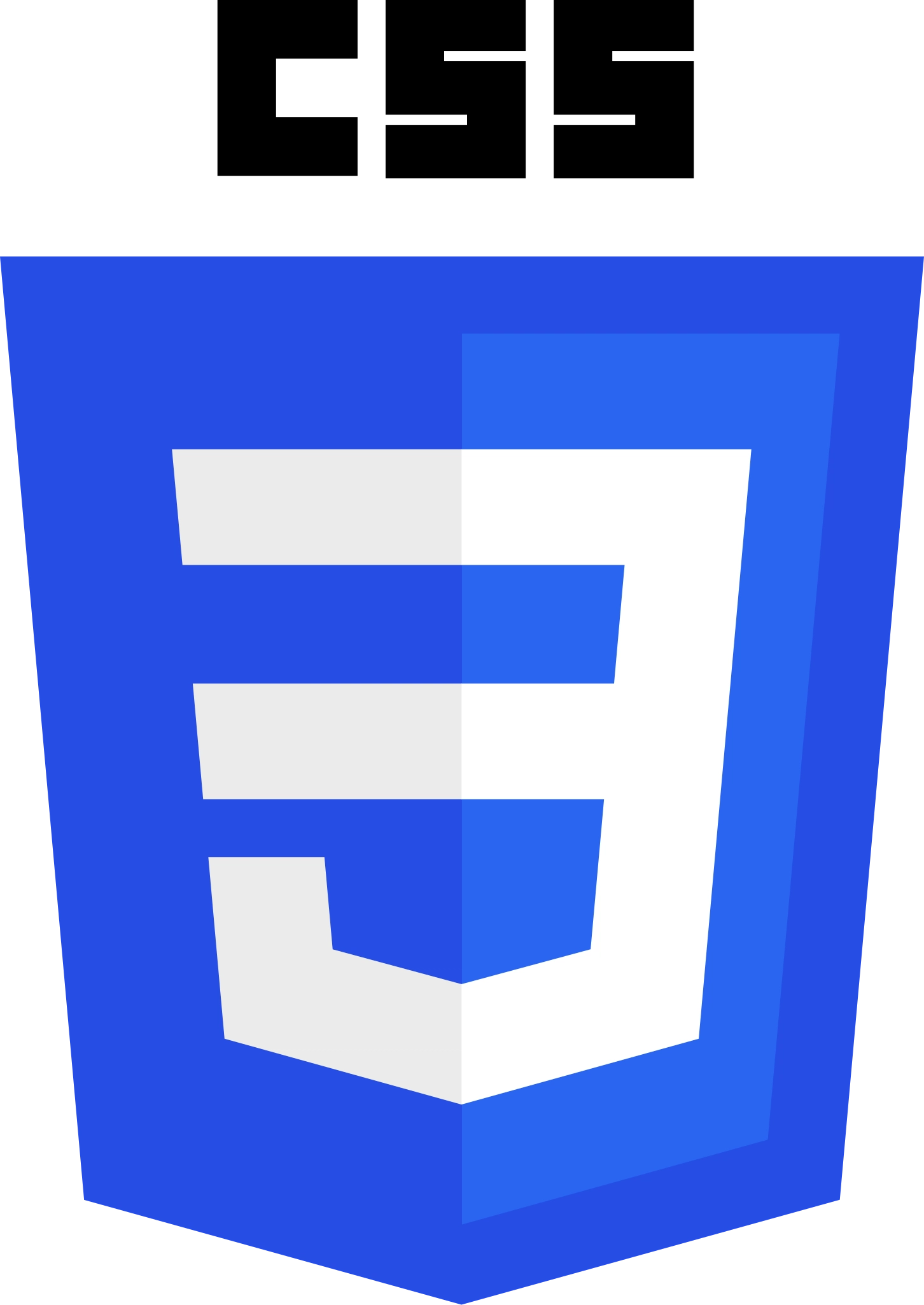 Logo de CSS