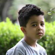 Guilherme Almeida De Oliveira