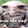 Ezequiel Andrade Santos