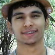 Tácito Pontes Amaral