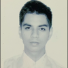 Luis Fernando Flores Daniel